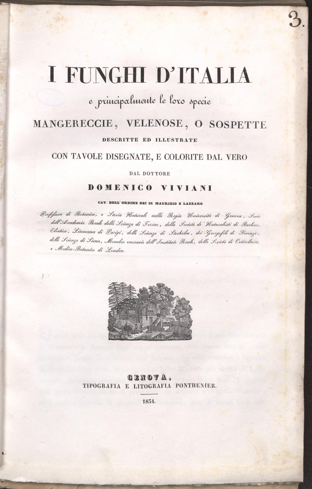 Funghi d'Italia
