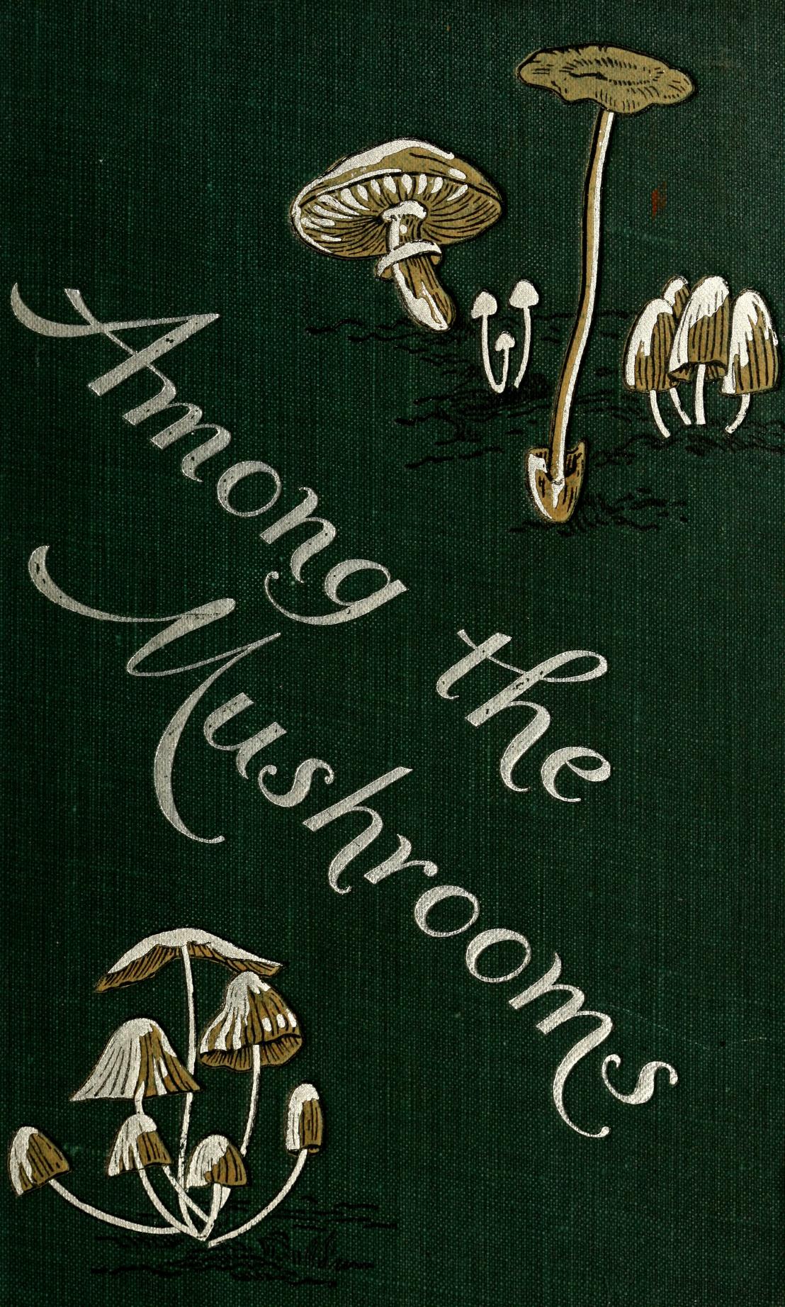 Among the Mushrooms: A Guide for Beginners