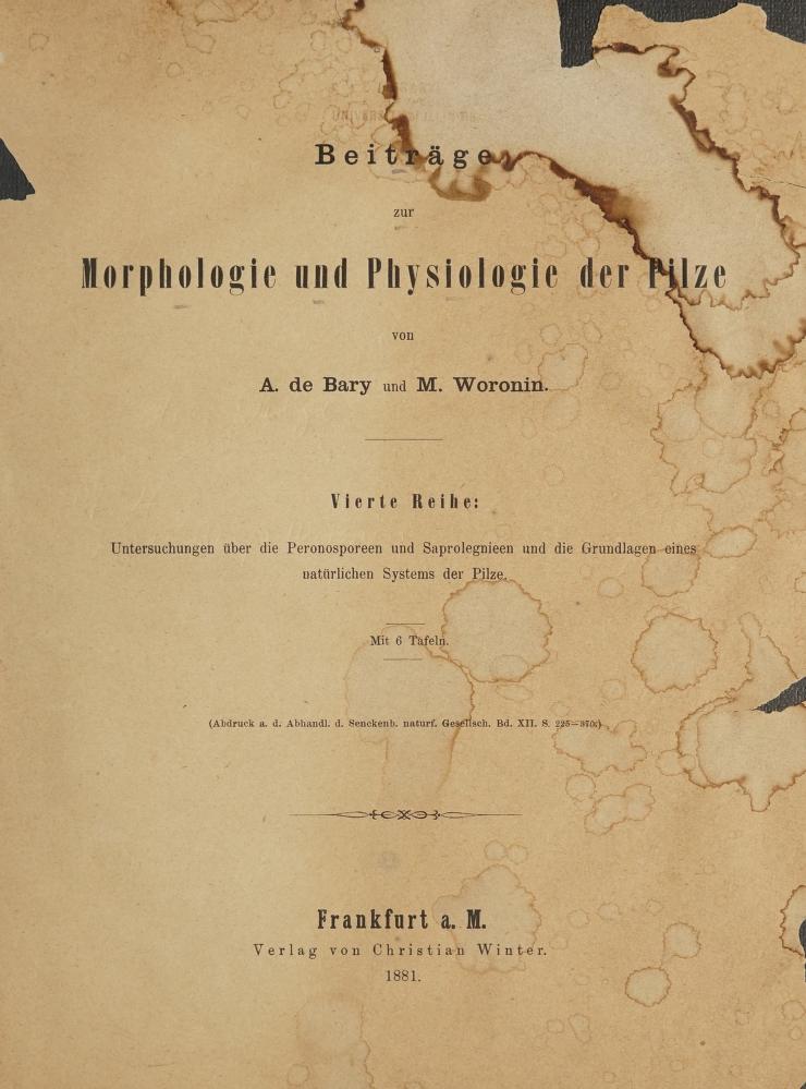 Morphologie und Physiologie der Pilze