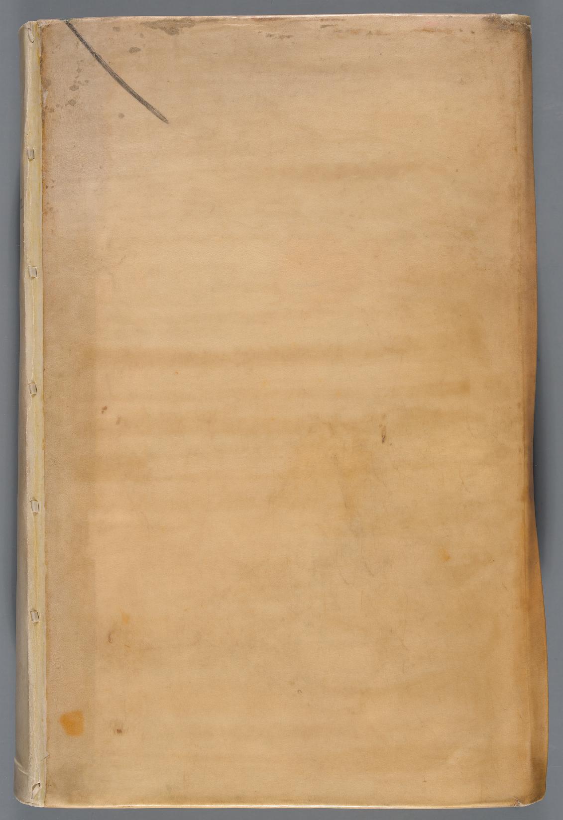 Rariorum plantarum historia
