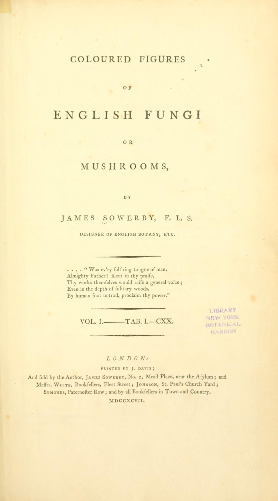 Coloured Figures of English Fungi