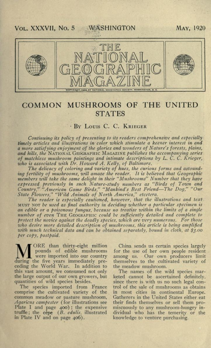 Common Mushrooms of the United States