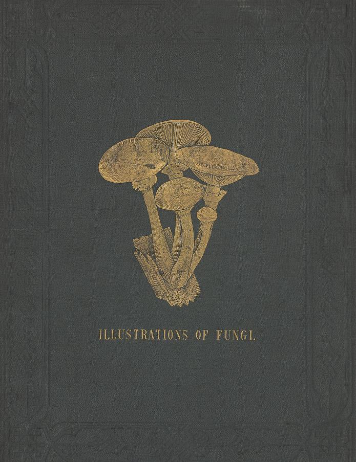 Illustrations of the Fungi of Our Fields and Woods