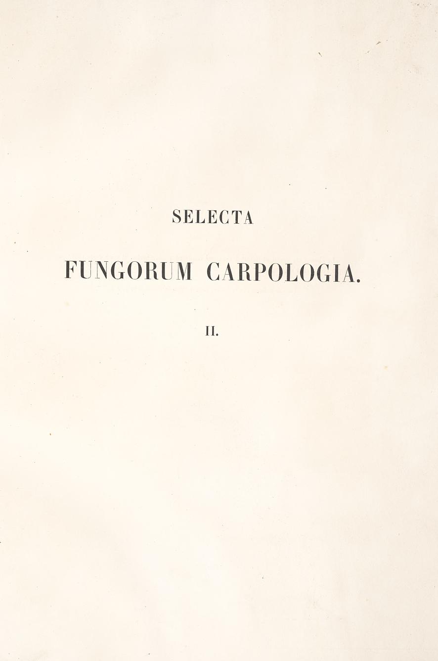 Selecta Fungorum Carpologia