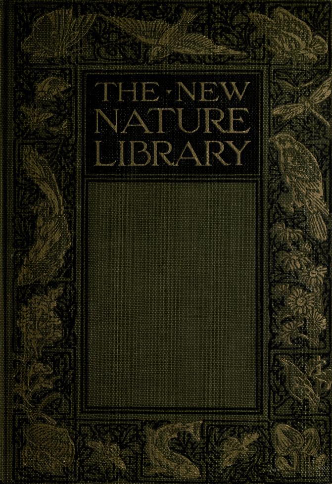 The Mushroom Book