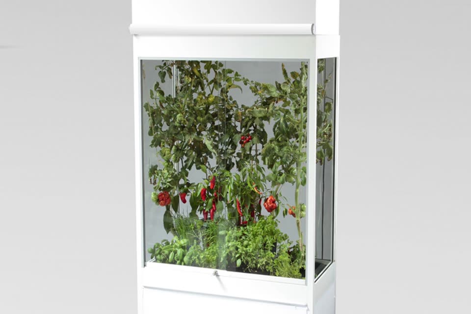 Biophilia Matters preview